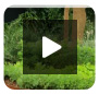 Garden Steps with Steel Edging | FormBoss Metal Garden Edging