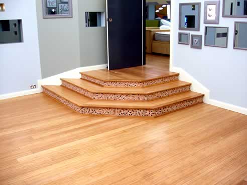 Bamboo Floors