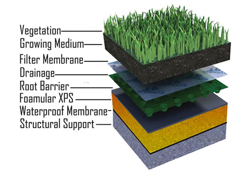 green roof insulation cross section