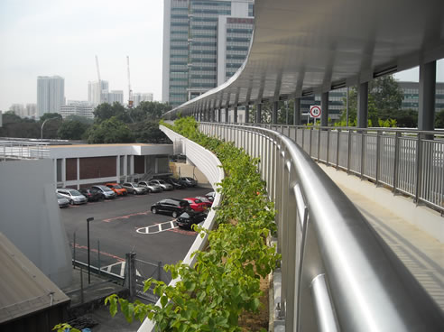 planter boxes nus link bridge singapore