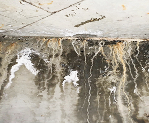 Fix water leaks from rooftop from Building Services Australia