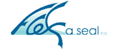 logo - Flex A Seal