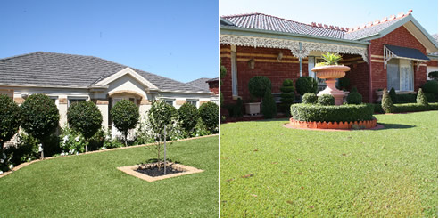 synthetic turf lawn