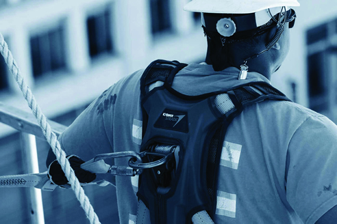 capital safety harness