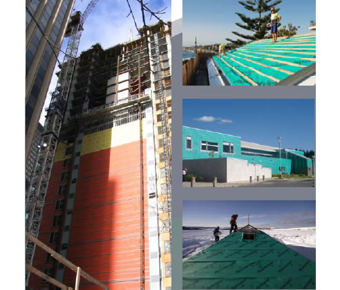 proctor roof membrame