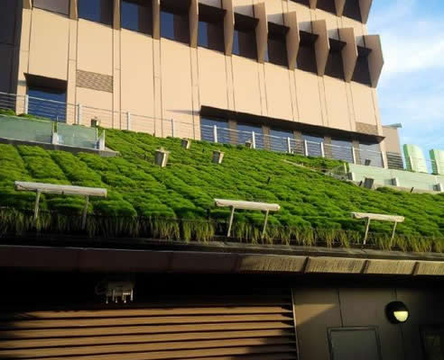 green roof brisbane childrens hospital