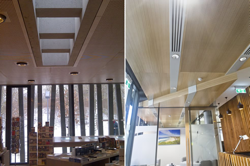 acoustic timber ceiling