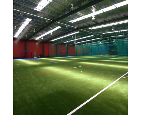 indoor synthetic grass