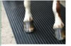 equine flooring