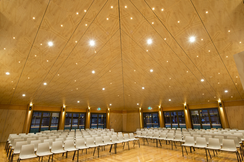 customised acoustic hall ceiling