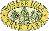 logo - Winter Hill Tree Farm