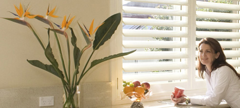 plantation shutter