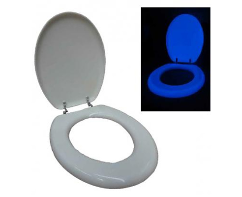 illuminated toilet seat