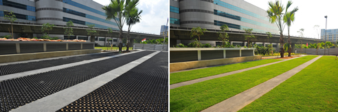trafficable grass surface