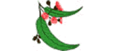 logo - 