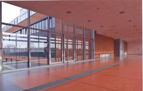 Sheet Vinyl Flooring Sheet Vinyl Flooring