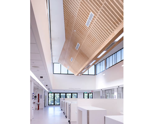 acoustic ceiling panels in hospital