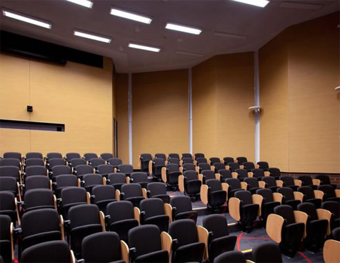 timber panel system in auditorium