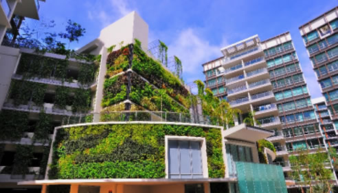 vertical greenwall garden
