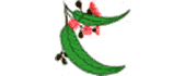 logo - 