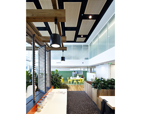 timber finished slotted acoustic ceiling panels