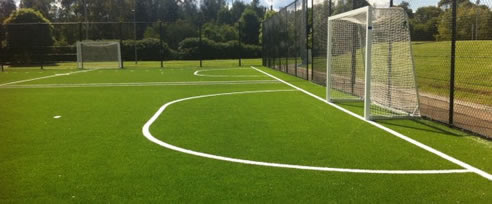 synthetic sports grass