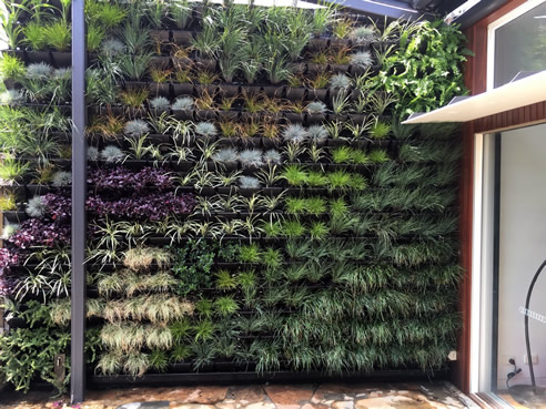 backyard green wall