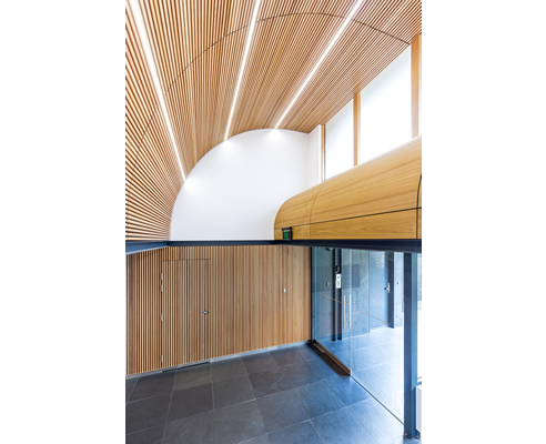 curved ceiling timber slats