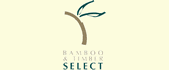 logo - Bamboo and Timber Select