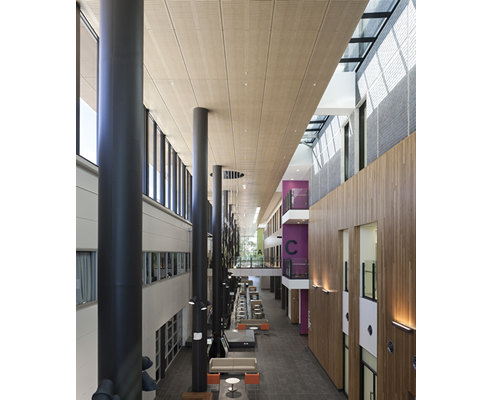 timber acoustic panels hospital atrium