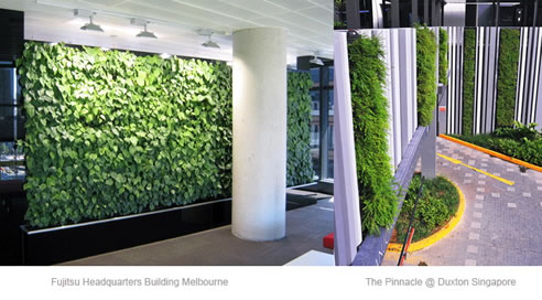 Green Walls Australia