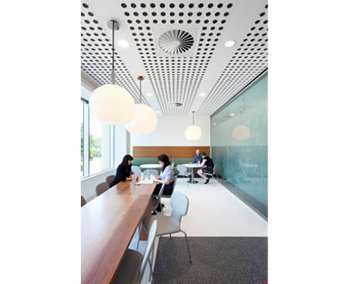 acoustic ceiling panels workplace