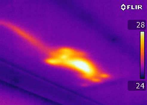 thermal image of possum in roof