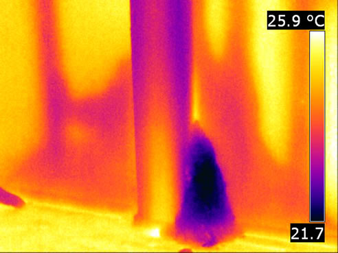 infrared image termites inside and on wall