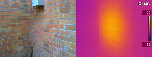 brick wall termites thermal image
