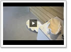 Video 2