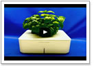 Video 2