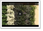 Video 2