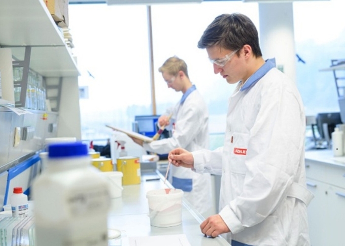 Professional In-House Finishing with ADLER Coatings by Paarhammer