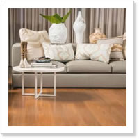 uPVC Window Alliance