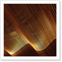 Screenwood
