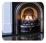 EcoSmart Fire