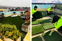De Boer Grass Tiles for Roof Tops from Solartex