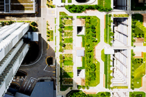 Green Roofs with Extruded Polystyrene by FOAMULAR