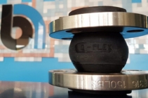 	Expansion Joints for Temperature Fluctuations by Bellis	