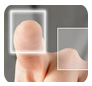 Caylx Software
