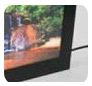 Eco Signs