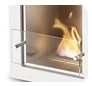 EcoSmart Fire