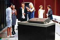 Electric Barbeque with Kitchen Cabinet from Thermofilm