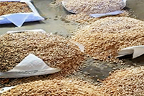 Pine Horse Stall Pellet Bedding from Sherwood Enterprises